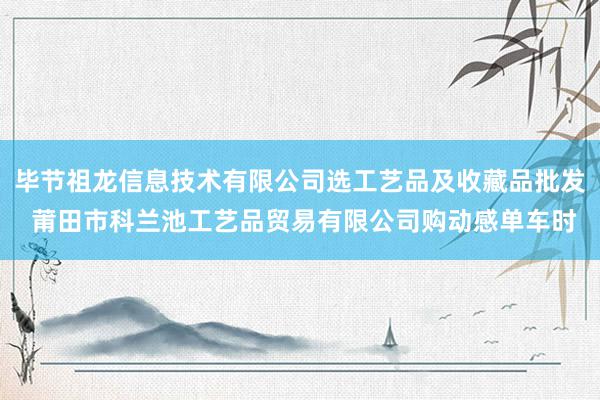毕节祖龙信息技术有限公司选工艺品及收藏品批发 莆田市科兰池工艺品贸易有限公司购动感单车时