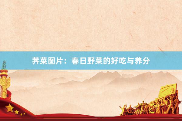 荠菜图片：春日野菜的好吃与养分