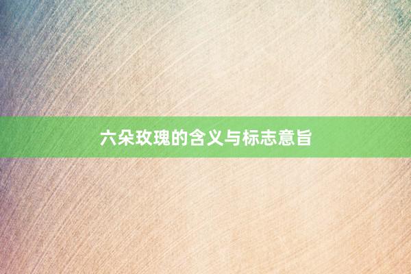 六朵玫瑰的含义与标志意旨