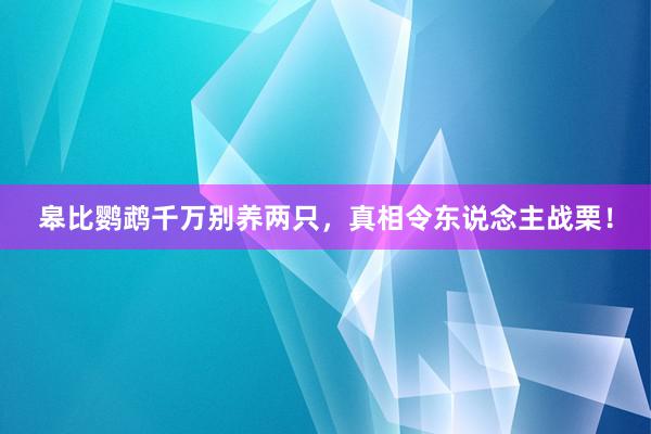 皋比鹦鹉千万别养两只，真相令东说念主战栗！