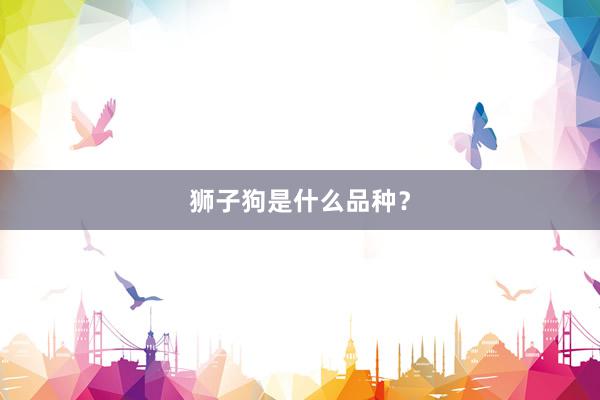 狮子狗是什么品种？